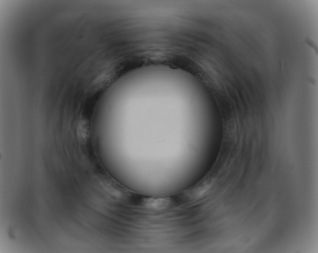 X0000097470135200803071702