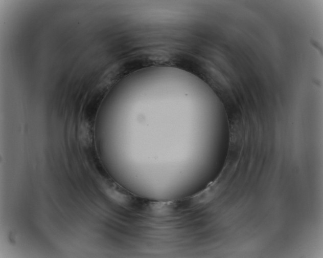 X0000097470136200803071702