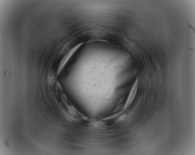 X0000097470137200803071702