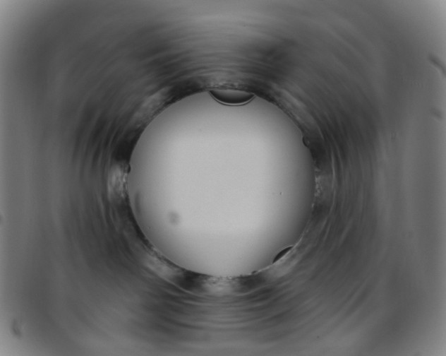 X0000097470142200803071702