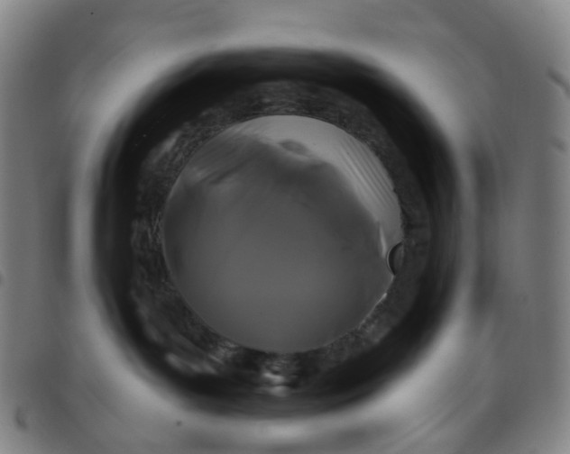 X0000097470143200803071702
