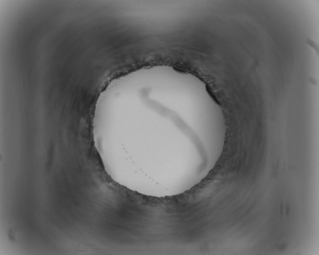 X0000097470144200803071702