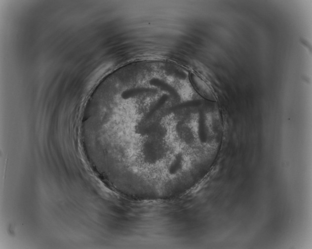 X0000097470145200803071701