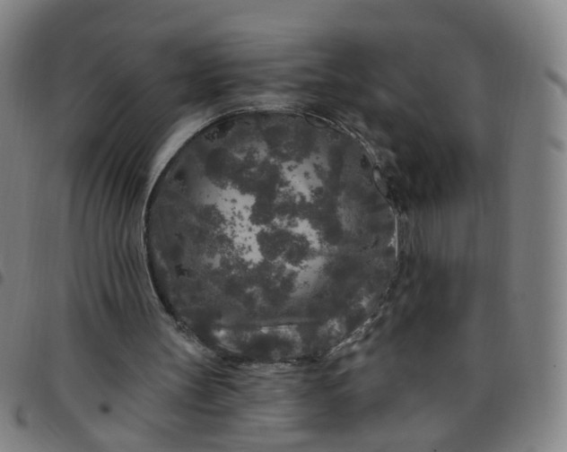 X0000097470147200803071701