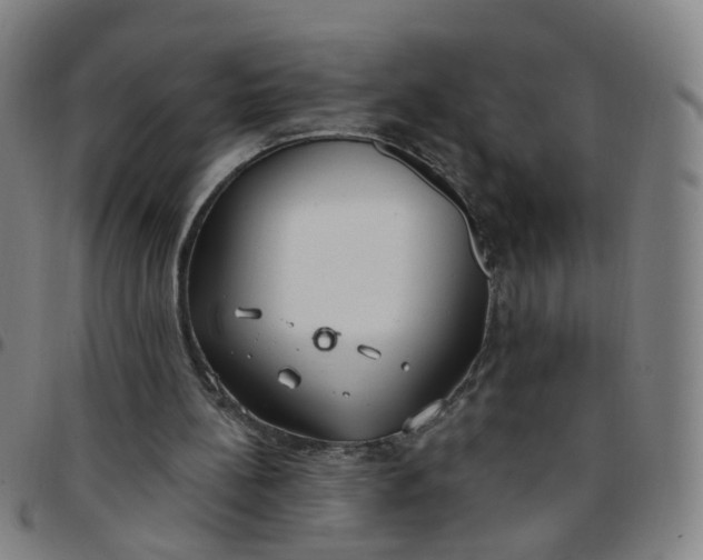 X0000097470148200803071701