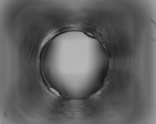 X0000097470150200803071701