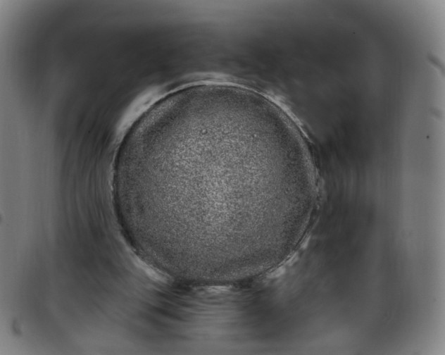 X0000097470151200803071701