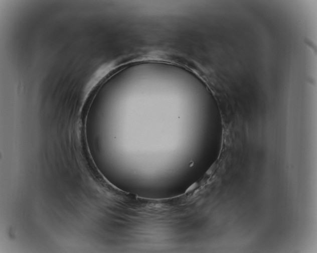 X0000097470152200803071701