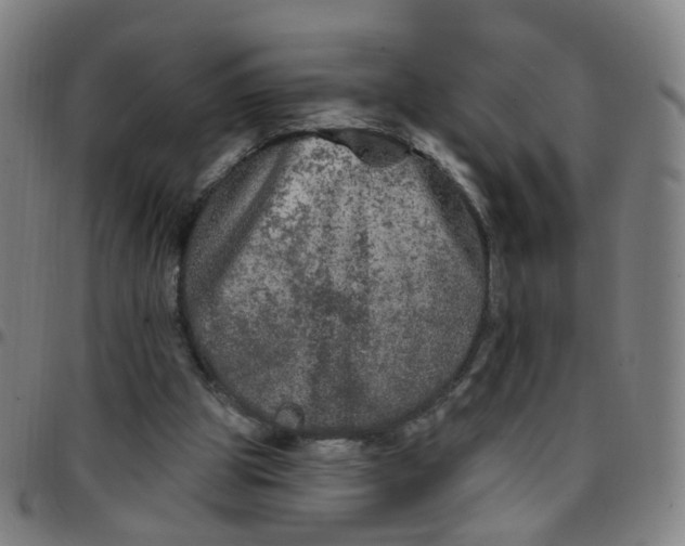 X0000097470153200803071701