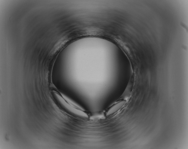 X0000097470154200803071701