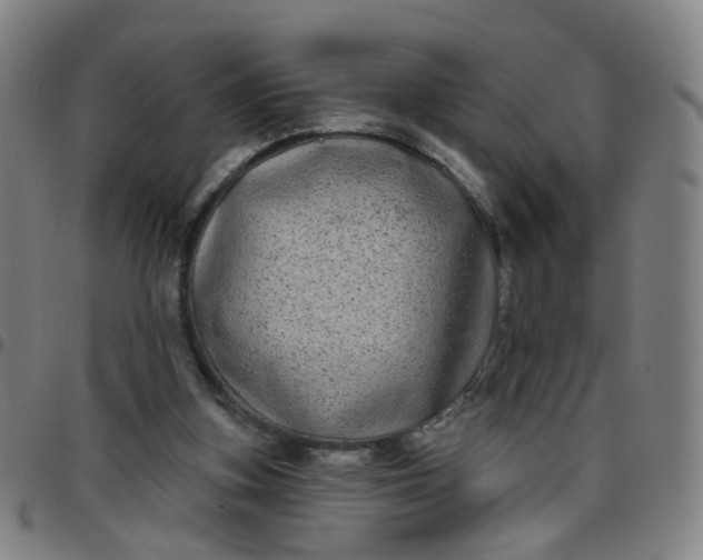 X0000097470155200803071701