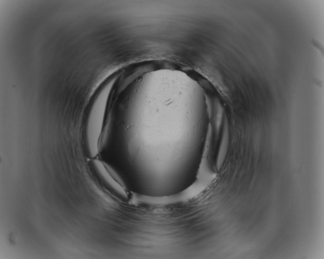 X0000097470156200803071701