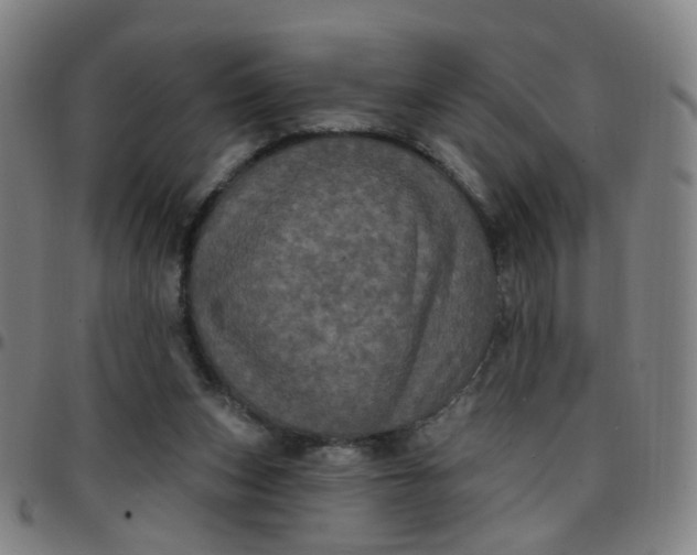 X0000097470159200803071701