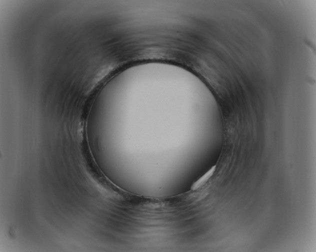 X0000097470160200803071701