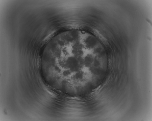 X0000097470165200803071701