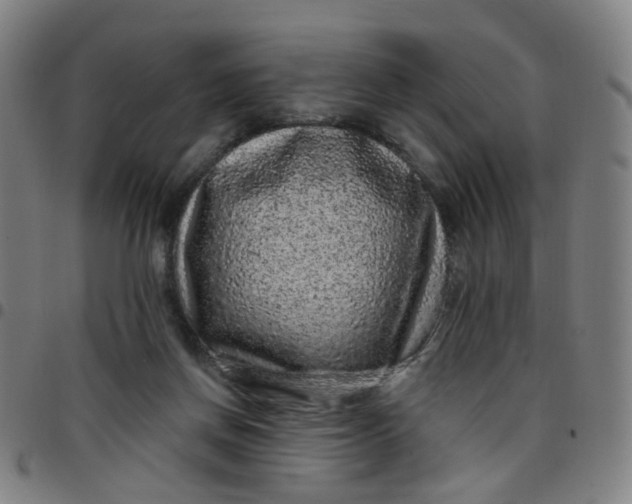 X0000097470166200803071701