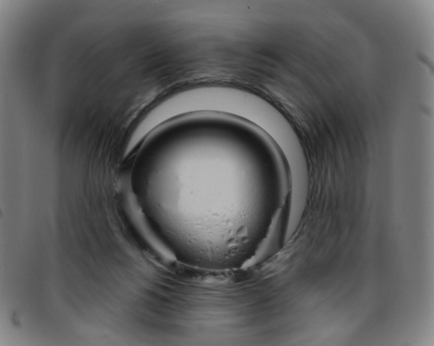 X0000097470168200803071701