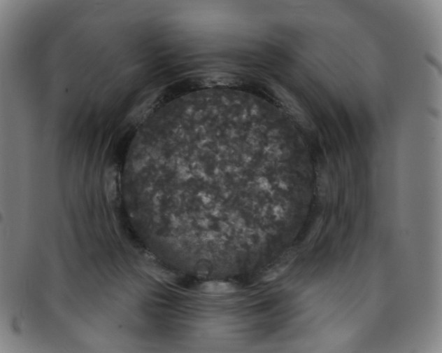 X0000097470169200803071702