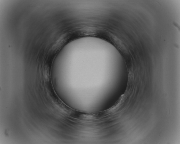 X0000097470170200803071702