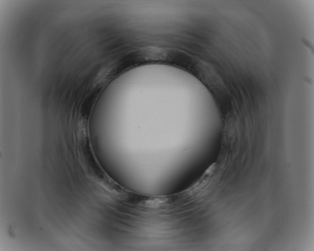 X0000097470172200803071702