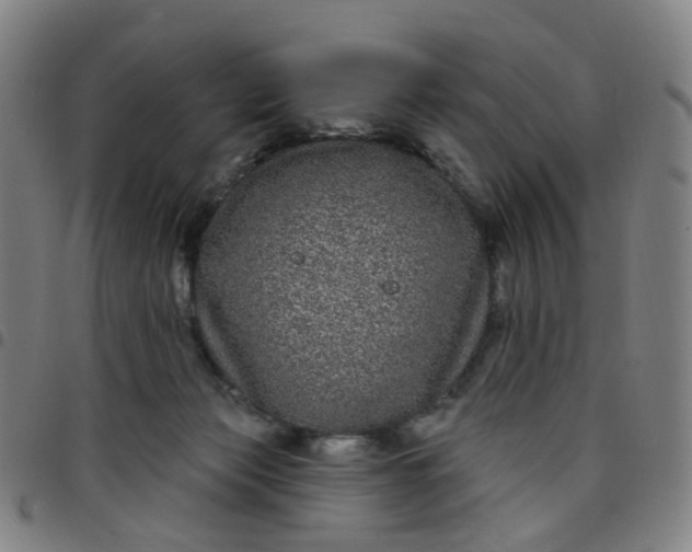 X0000097470173200803071702