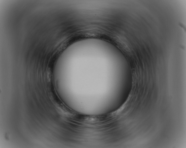 X0000097470174200803071702