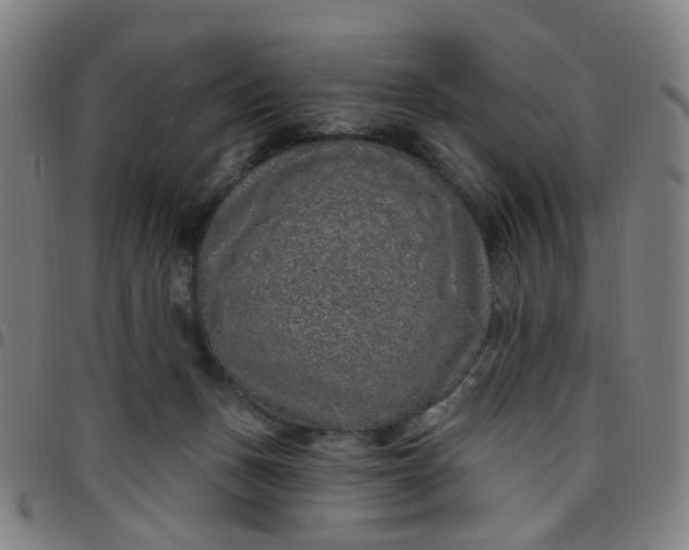 X0000097470175200803071702