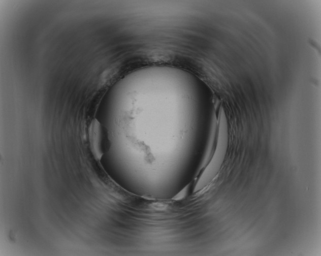 X0000097470176200803071702