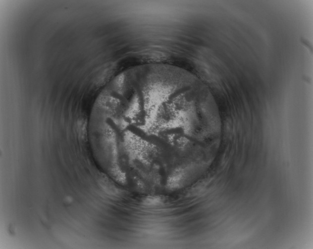 X0000097470177200803071702
