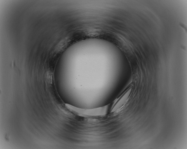 X0000097470180200803071702