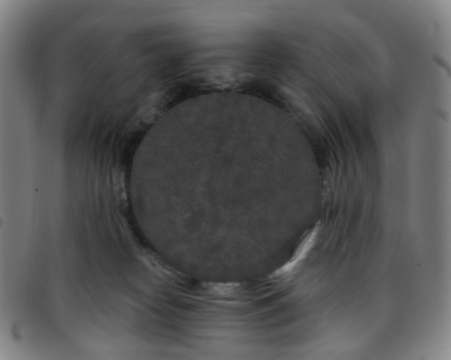 X0000097470182200803071702