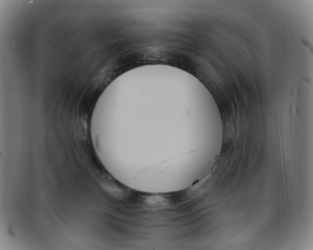 X0000097470183200803071702