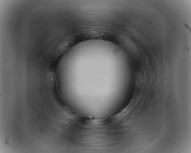 X0000097470184200803071702