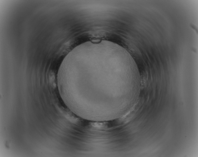 X0000097470187200803071702