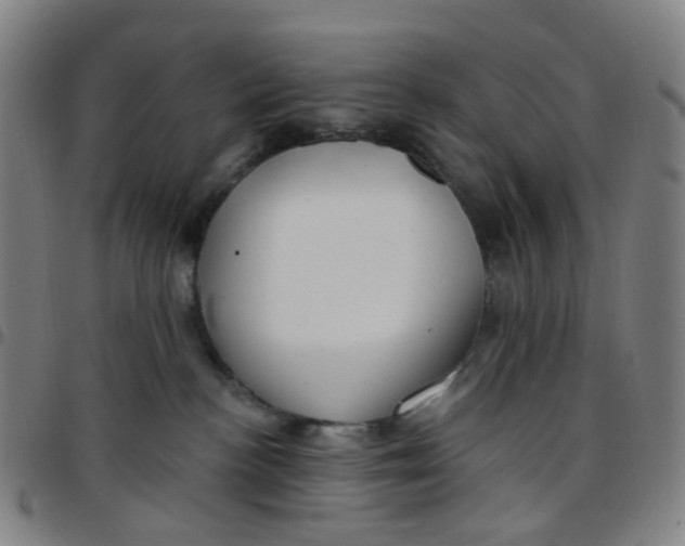 X0000097470188200803071702