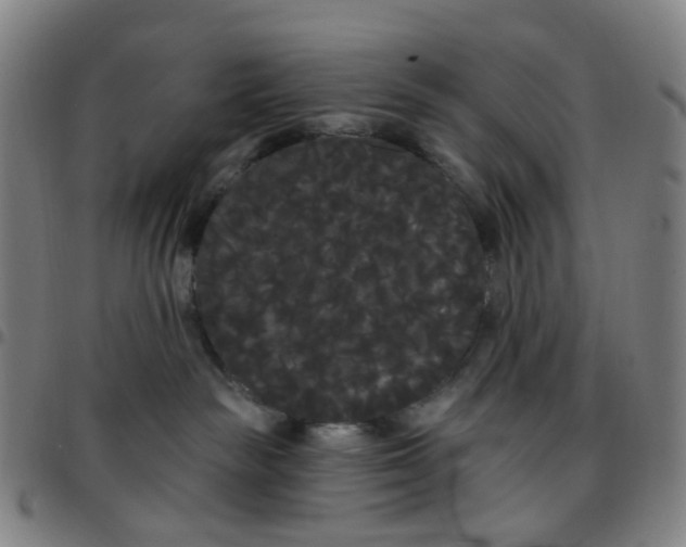 X0000097470189200803071702