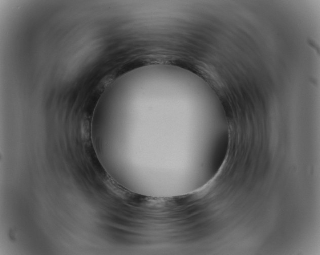 X0000097470190200803071702