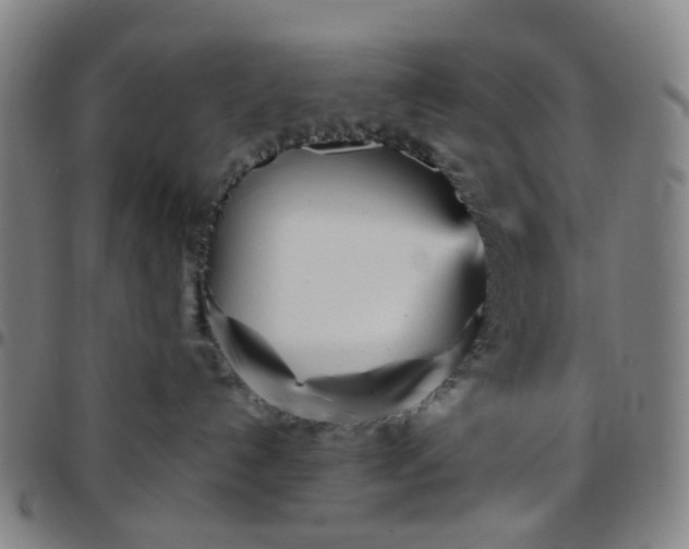X0000097470192200803071702