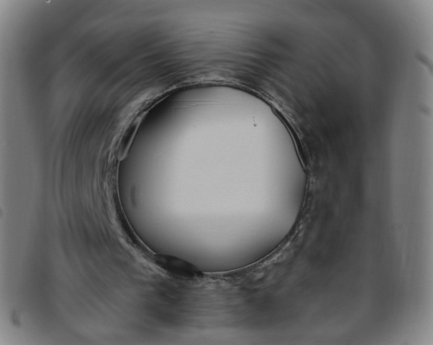 X0000097470193200803071701