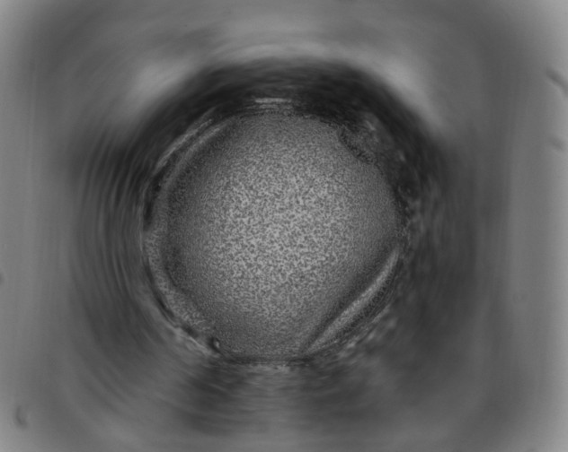 X0000097470194200803071701