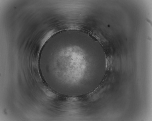 X0000097470195200803071701
