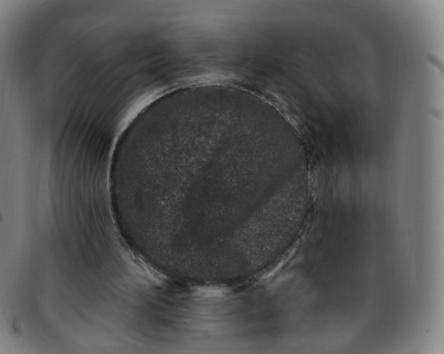 X0000097470196200803071701