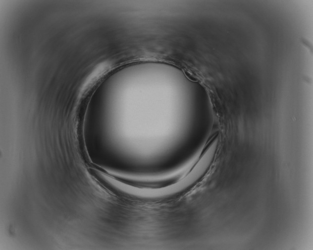 X0000097470197200803071701