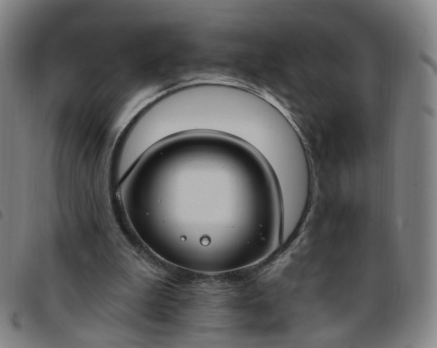 X0000097470199200803071701
