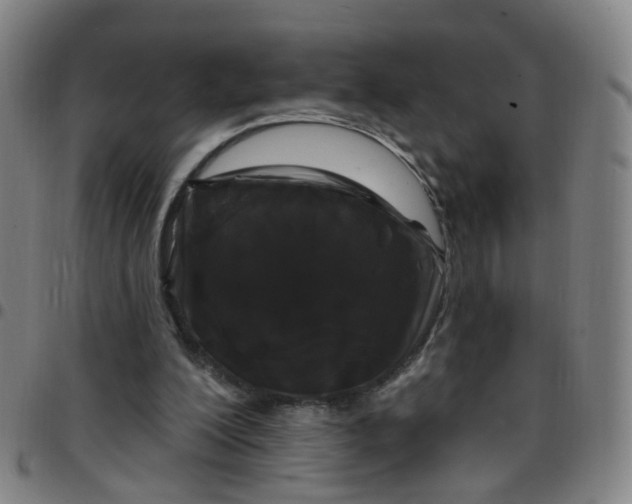 X0000097470200200803071701