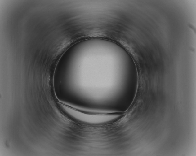X0000097470201200803071701
