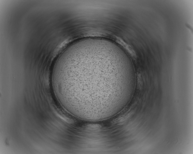X0000097470203200803071701