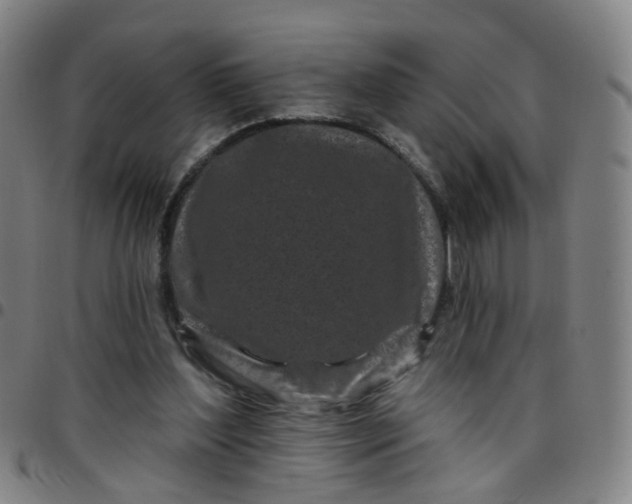 X0000097470204200803071701