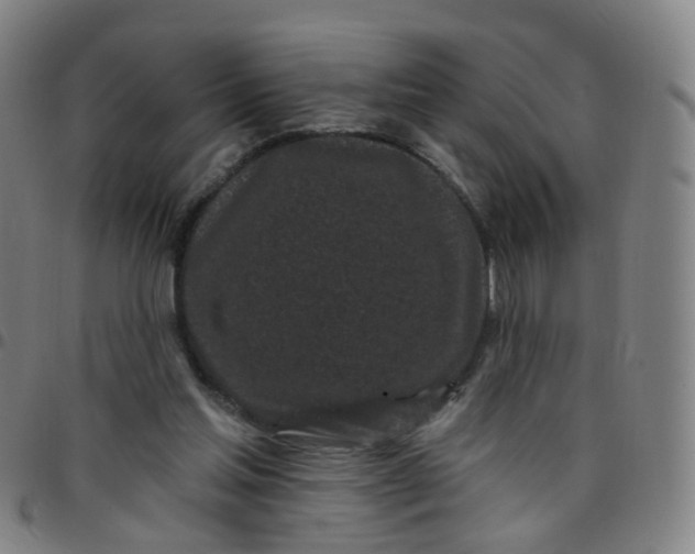 X0000097470205200803071701