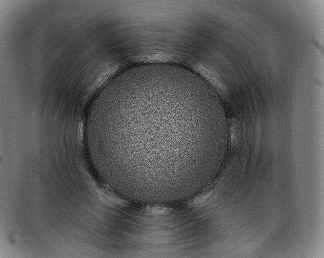 X0000097470206200803071701